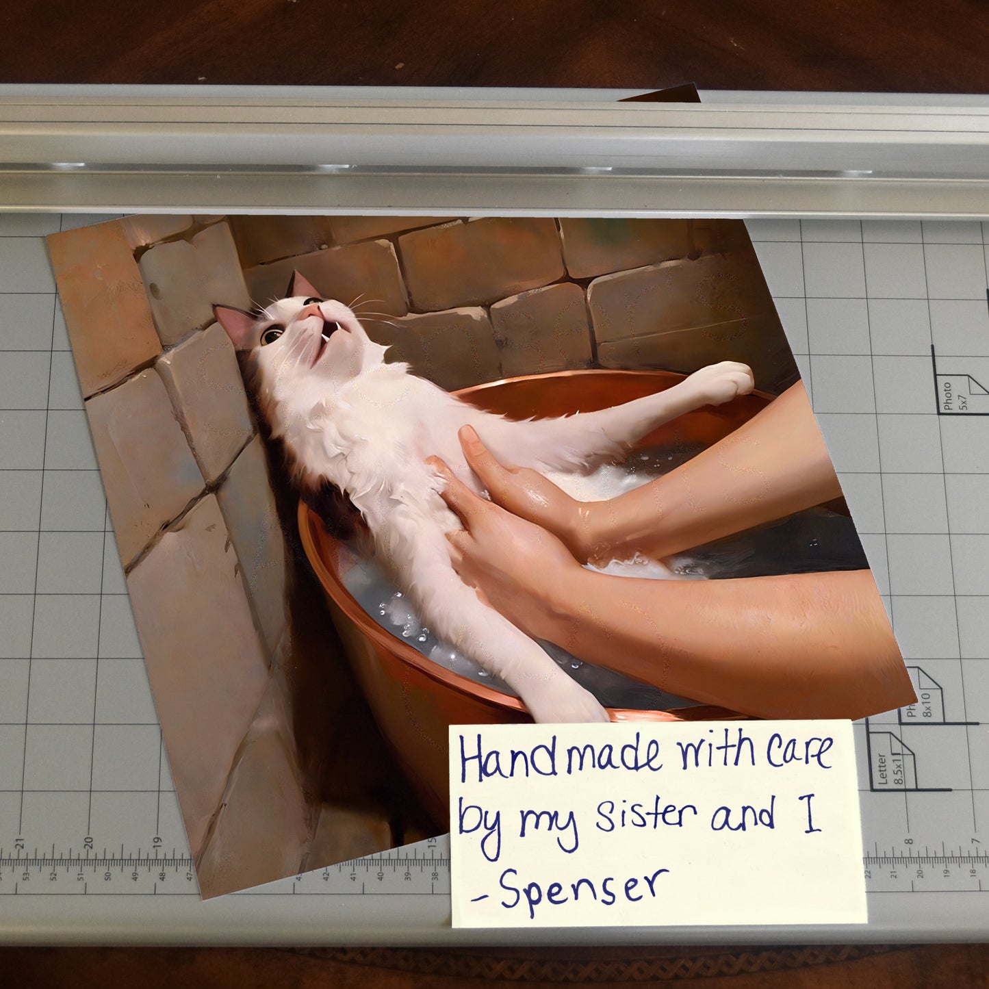 Sad Cat Gets a Bath Meme Art Print